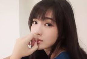 品牌介绍档案